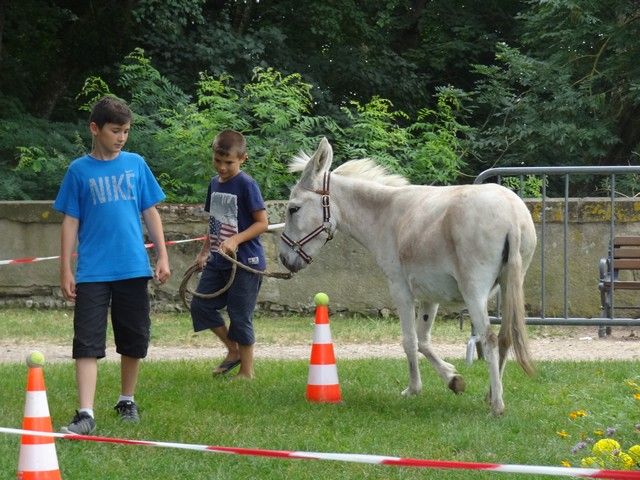 fete 2016 (249).jpg